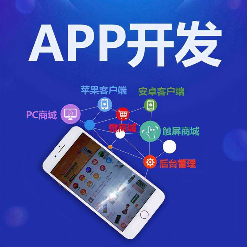 移动APP开发:新时代的创意航标